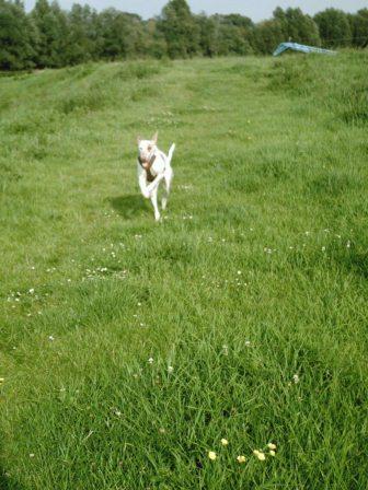 bella 057.JPG