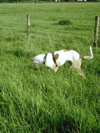 bella 059.JPG