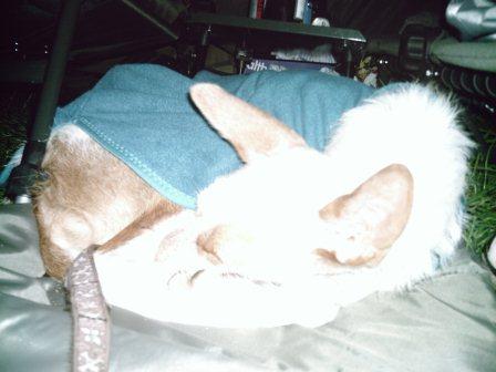 bella 081.JPG