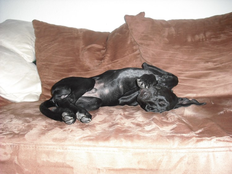 sofa-rücken.jpg