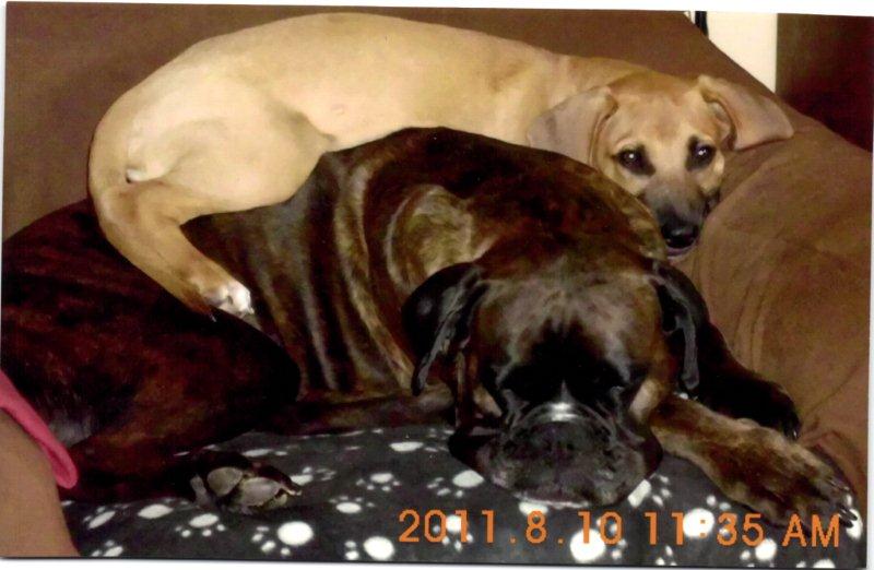 Luna und Joy.jpg