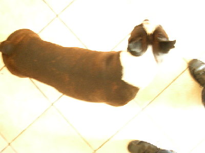 So ist seine Figur jetzt: