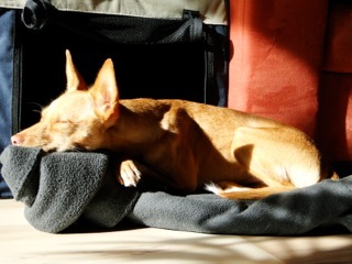 Bild 1.jpg