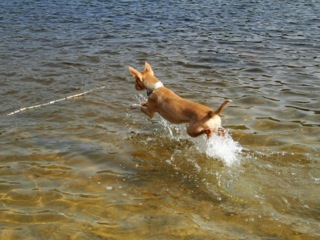Bild 2.jpg