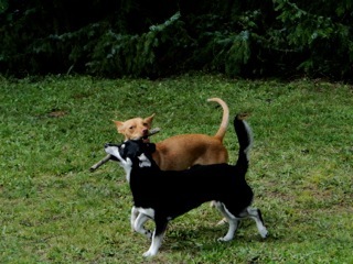 Bild 4.jpg