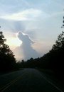 Hundehimmel.jpg