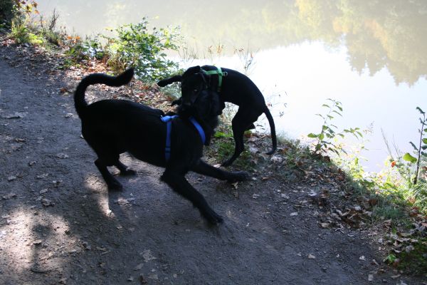 Pelut & Finn 017.jpg