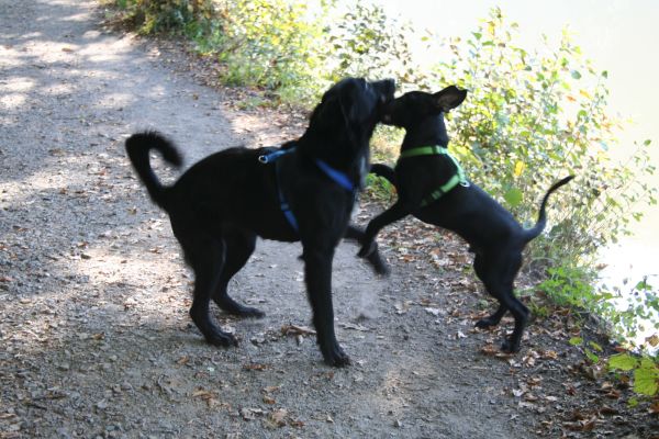 Pelut & Finn 031.jpg