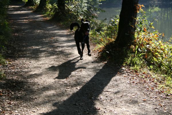 Pelut & Finn 040.jpg
