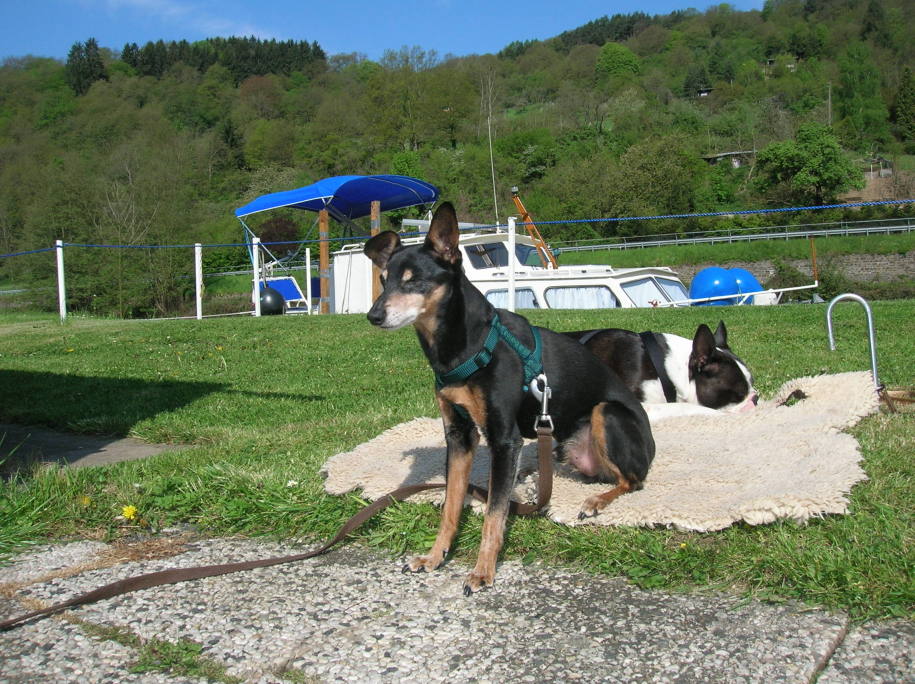 SchmidtChopin052008.jpg