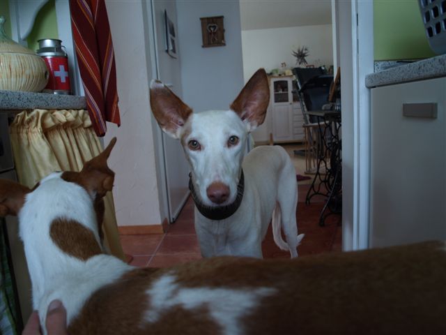 PA097798.JPG