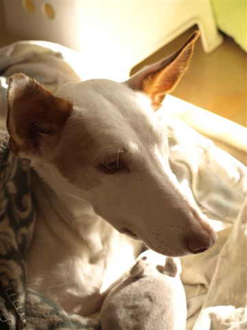 PA097859.JPG