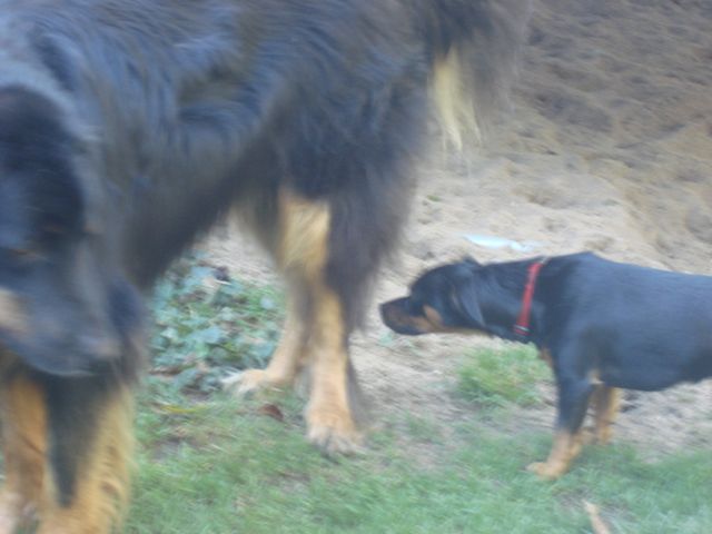 DSC07822.jpg
