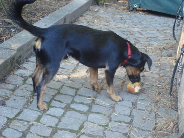 DSC07817.jpg