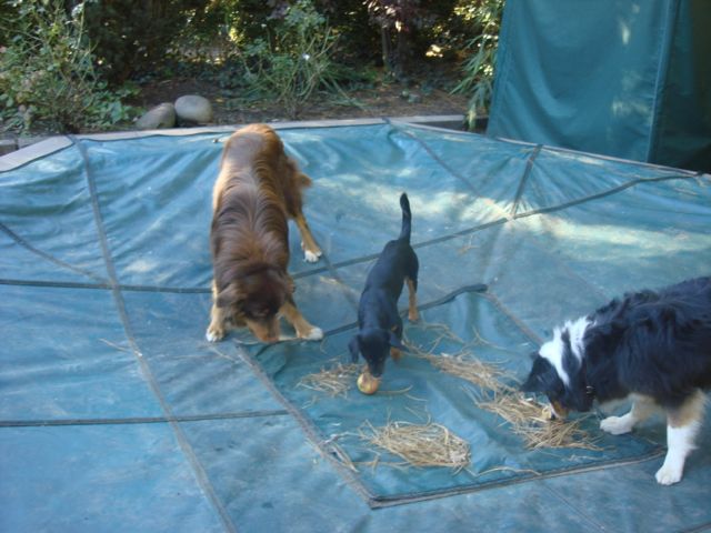 DSC07815.jpg