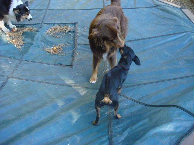 DSC07813.jpg