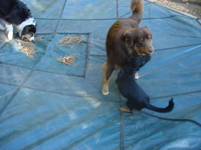 DSC07812.jpg