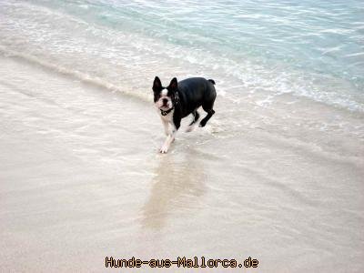 Meer kann ich ihm zwar nicht bieten.....