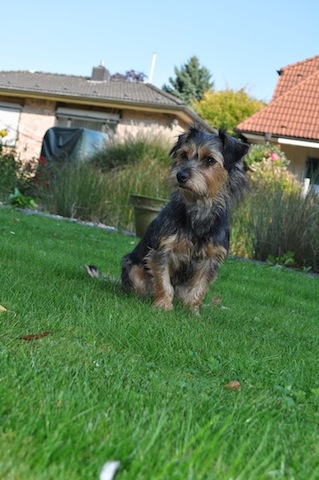 DSC_0020 Kopie .jpg