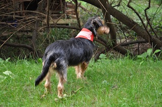 DSC_0186kopie.jpg