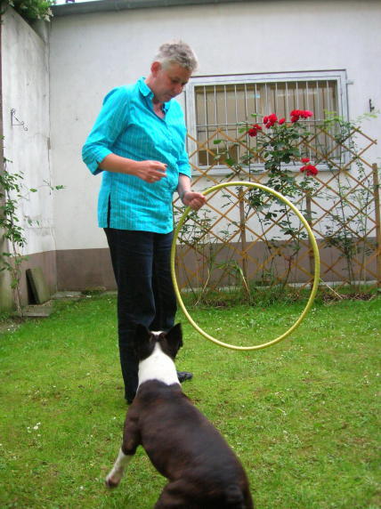 Kopie von SchmidtHula02.jpg