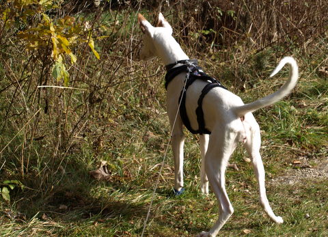 PA308261.JPG