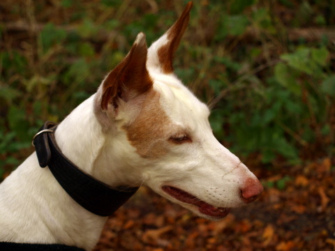 PA308310.JPG