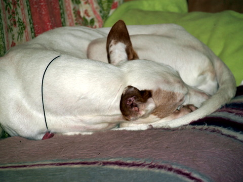 PA308382.JPG