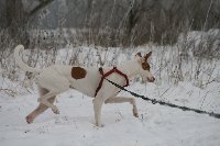 IMG_2756_200x133.JPG