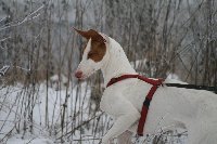 IMG_2751_200x133.JPG