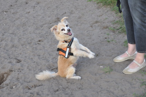 Opa in Position.jpg