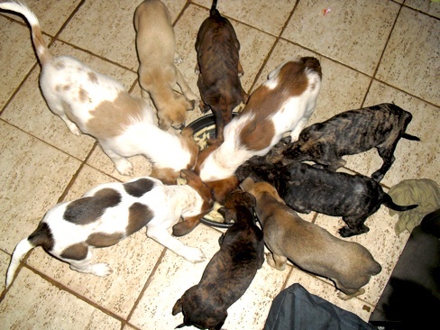 6 + 3 = 9  Babes1.jpg
