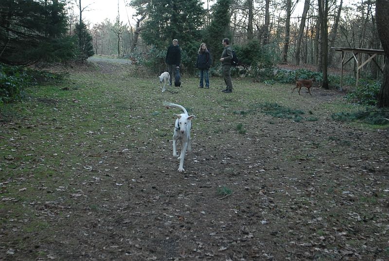 Nordholz 004.jpg