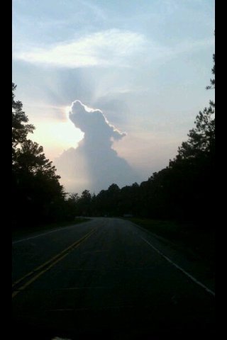 Hundehimmel.jpg