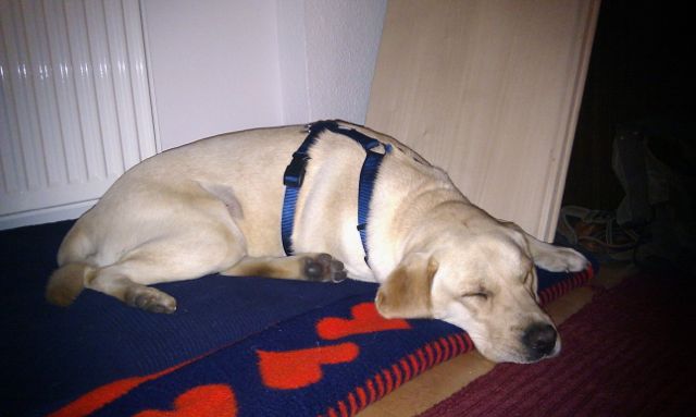 Bild 4.jpg
