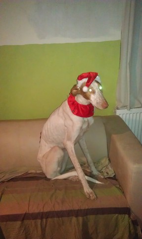 IMAG0078.jpg
