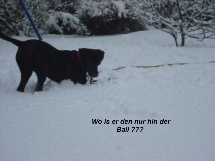 20.12.11 Finn (7)2.jpg