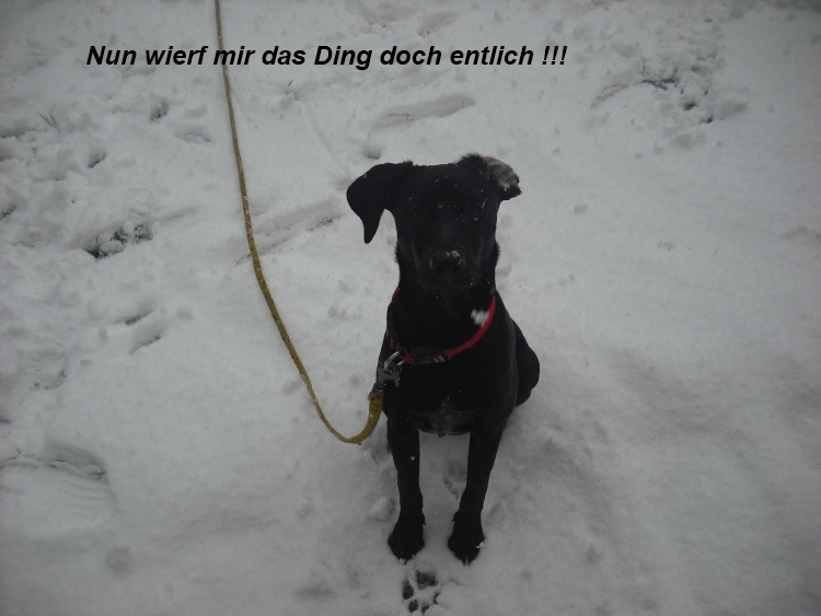 20.12.11 Finn (15)4.jpg