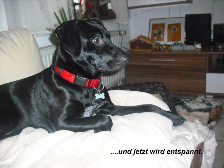 20.12.11 Finn (33)6.jpg
