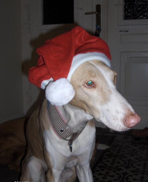Maria Weihnacht.JPG