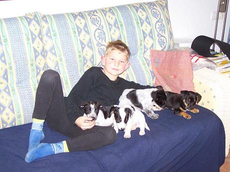 hundchensofa1.JPG