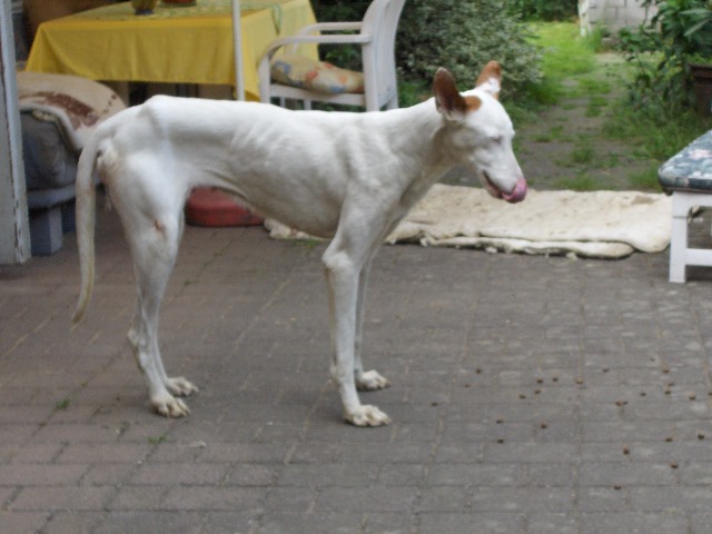 HPIM0457.JPG