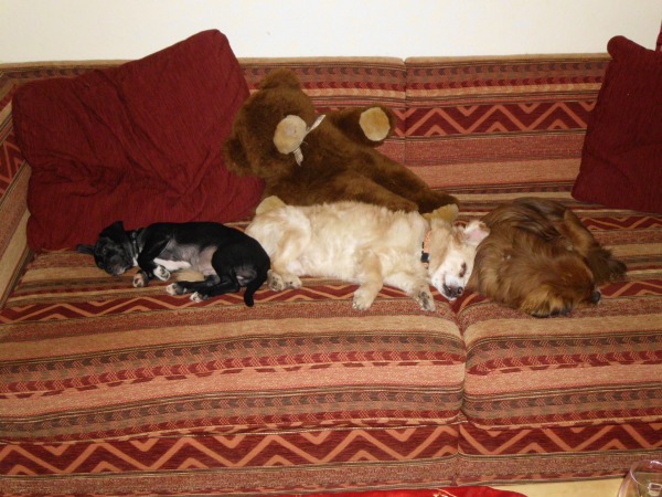 24.12.2011_1.jpg