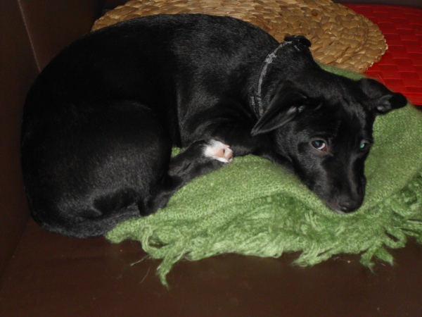 30.12.2011 1.jpg