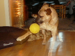 Bild 255(1)(1).jpg