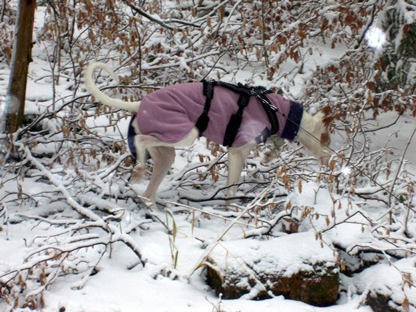 Spaziergang Alb 004.jpg