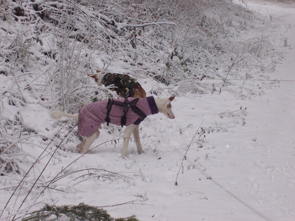 Spaziergang Alb 005.jpg