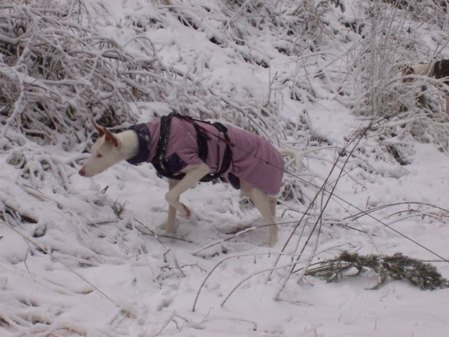 Spaziergang Alb 006.jpg