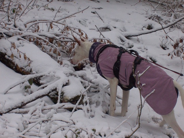 Spaziergang Alb 007.jpg