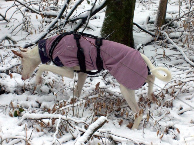 Spaziergang Alb 008.jpg